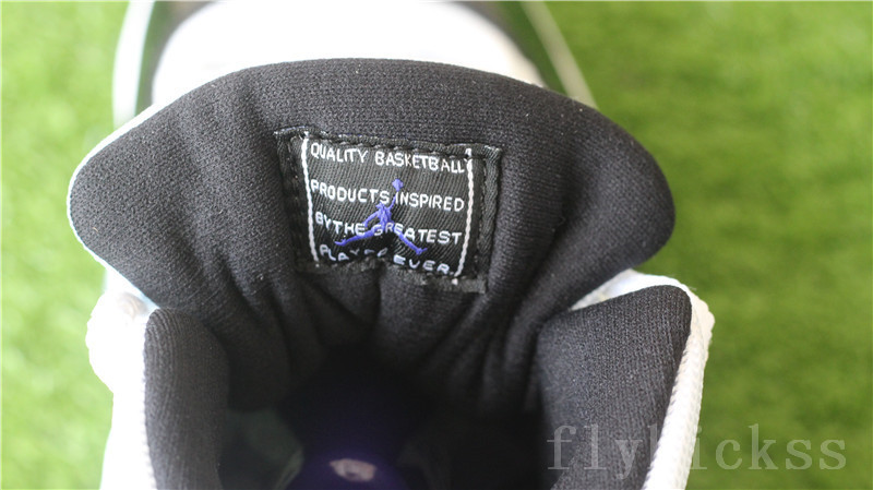 Authentic Air Jordan 11 Retro Concord High